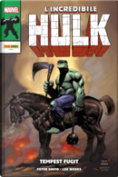 L'Incredibile Hulk di Peter David vol. 13 by Peter David