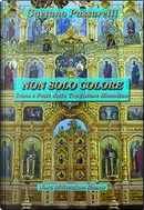 Non solo colore. Icone e feste della tradizione bizantina by Gaetano Passarelli