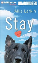 Stay by Allie Larkin