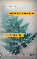 Un grande gelo by Arnaldur Indriðason