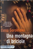 Una montagna di briciole by Elena Gorokhova