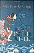 A Foot in the River by Felipe Fernandez-Armesto