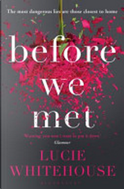 Before We Met by Lucie Whitehouse