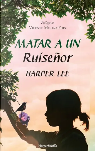 Va, Metti Una Sentinella - Libro