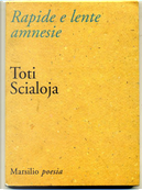 Rapide e lente amnesie by Toti Scialoja