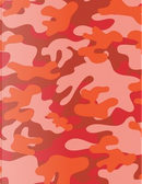 Camouflage Red Notebook - 5x5 Graph Paper by Rengaw Creations