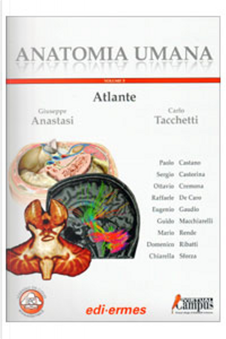 Anatomia umana. Atlante : Anastasi, Giuseppe, Gaudio, Eugenio