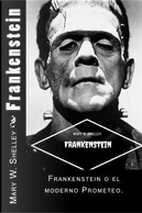 Frankenstein/ Frankenstein by Mary Wollstonecraft Shelley