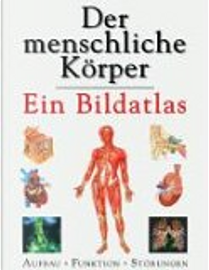 Der menschliche Körper. Ein Bildatlas. Aufbau, Funktion, Störungen by Tony Smith