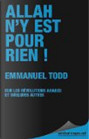 Allah n'y est pour rien ! by Emmanuel Todd