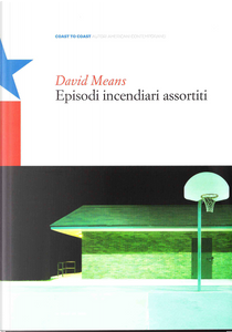 Episodi incendiari assortiti by David Means