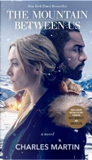 The mountain between us by Charles Martin