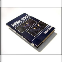 Animal Senses by Robert Burton