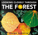 Looking Closely Through The Forest by Frank Serafini