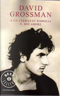 A un cerbiatto somiglia il mio amore by David Grossman
