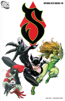 Gotham City Sirens Vol.1 #19 by Peter Calloway