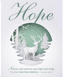 Hope Paper Art Advent Bulletin, Large by Not Available