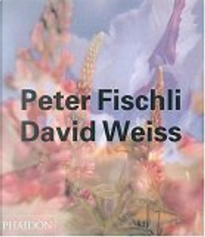 Peter Fischli & David Weiss by Arthur C. Danto, Beate Söntgen, Robert Fleck