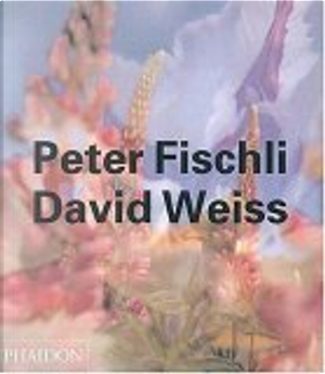 Peter Fischli & David Weiss by Arthur C. Danto, Beate Söntgen, Robert Fleck