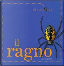 Il ragno by Desiderio Sanzi, Ting Morris