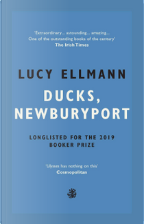 Ducks, Newburyport by Lucy Ellmann