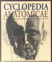 Cyclopedia Anatomicae by György Fehér