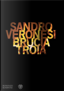 Brucia Troia by Sandro Veronesi