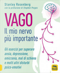 Vago. Il mio nervo più importante by Stanley Rosenberg