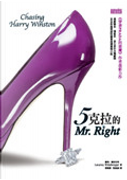 5克拉的Mr. Right by 羅倫．威茲柏格