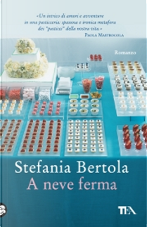 A neve ferma by Stefania Bertola