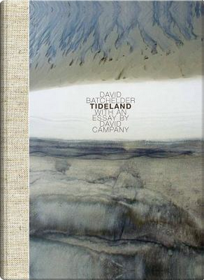 Tideland by David Campany