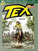 Tex stella d'oro n. 22 by Gino D'Antonio