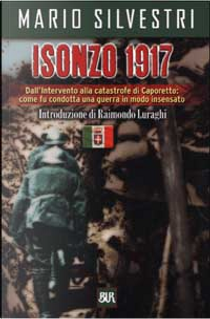 Isonzo 1917 by Mario Silvestri