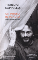 Un prato in pendio by Pierluigi Cappello