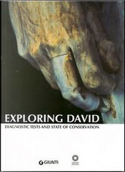 Exploring David. Diagnostic Tests and State of Conservation.