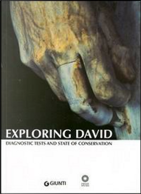 Exploring David. Diagnostic Tests and State of Conservation.