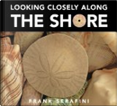 Looking Closely Along the Shore by Frank Serafini