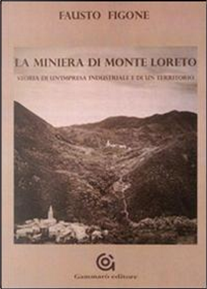 La miniera di Monte Loreto. Storia di un'impresa industriale e di un un territorio by Fausto Figone