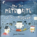 How the Meteorite Got to the Museum by Jessie Hartland