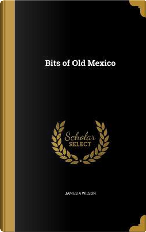 BITS OF OLD MEXICO by James A. Wilson