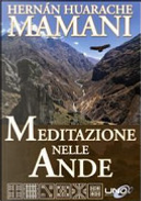 Meditazione nelle Ande by Hernan Huarache Mamani