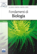 Fondamenti di biologia by Diana W. Martin, Eldra P. Solomon, Linda R. Berg