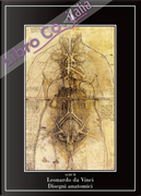 Disegni anatomici by Leonardo da Vinci