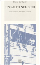 Un salto nel buio by Mario Bonfantini