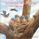 Lessons on Flying by Majo