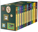 How to Train Your Dragon by Cressida Cowell