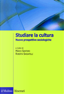 Studiare la cultura. Prospettive sociologiche by M. Santoro