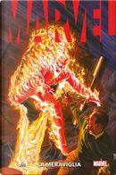 Marvel: La Meraviglia by Alex Ross, Kurt Busiek, Steve Darnall