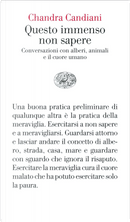 Questo immenso non sapere by Chandra Livia Candiani