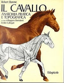 Il cavallo by Robert Barone